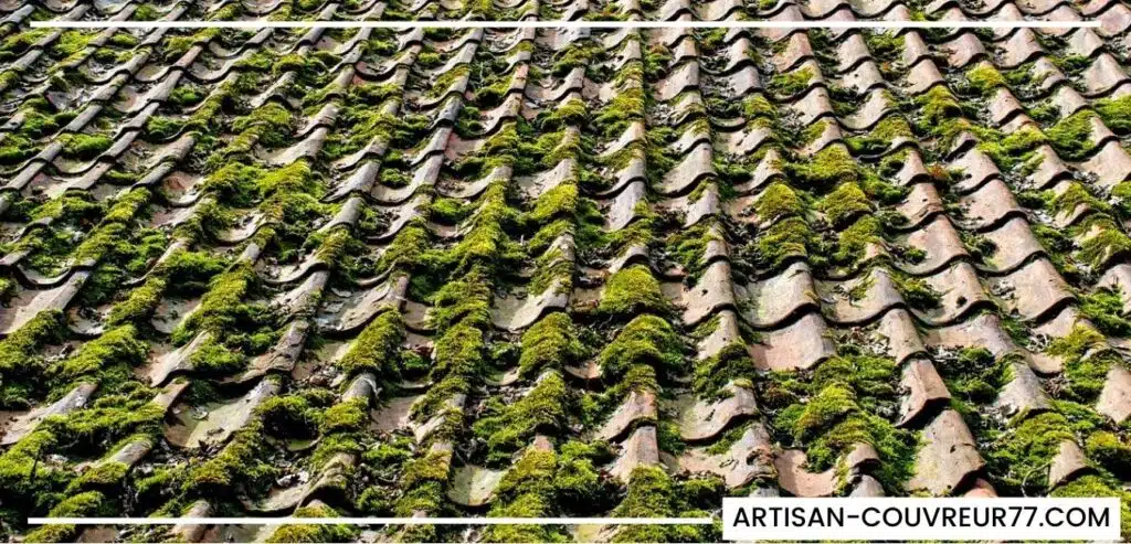 mousse sur une toiture seine-et-marne (77)