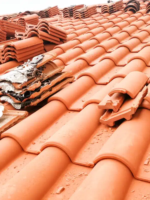 remplacement tuiles Trilport