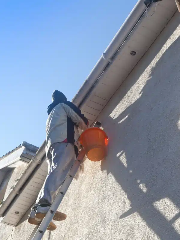 démoussage et nettoyage toiture Torcy